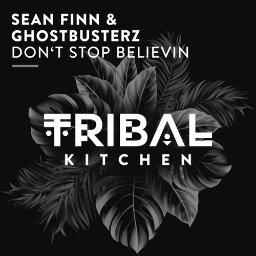 Sean Finn, Ghostbusterz - Don't Stop Believin [TK275]